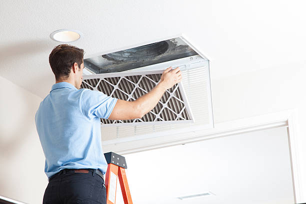 Best Residential HVAC services  in Cottonwood, AL